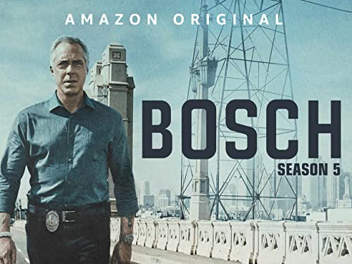 Miglior bosch nel 2022 [basato su 50 recensioni di esperti]