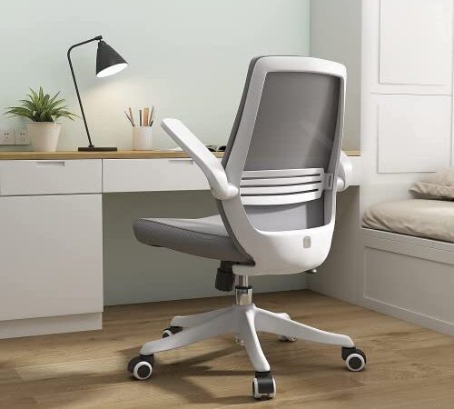 SIHOO Sedia da Ufficio Sedia Ergonomica Girevole a 360 °, Sedia da Scrivania con Comodo Supporto Lombare, braccioli Pieghevoli e reversibili, Sedia da Computer con Ruote in Nylon(Grigio)