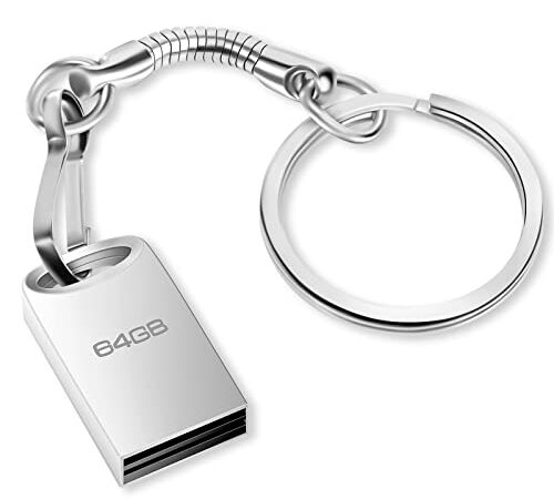 Chiavetta USB 64 GB, Mini Pen Drive 64gb Metallo Penna USB 64 Giga Portatile Flash Drive 64giga USB 2.0 Thumb Drive con Portachiavi per PC, Laptop, Smart TV, Auto Ecc (Argento)