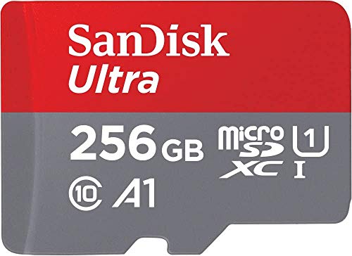 Miglior micro sd 256 gb nel 2024 [basato su 50 recensioni di esperti]