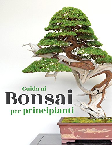 Miglior bonsai nel 2024 [basato su 50 recensioni di esperti]